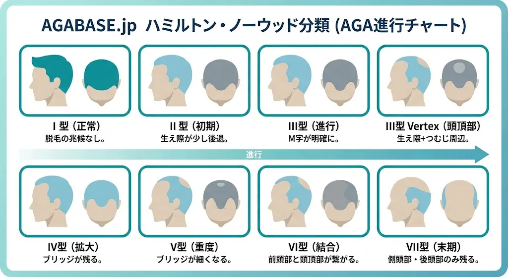 ハミルトン・ノーウッド分類画像