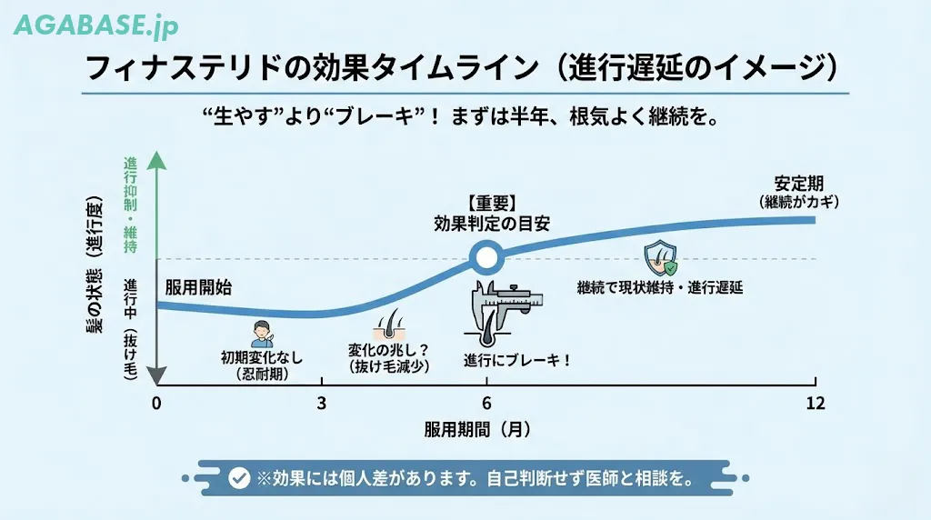 フィナステリド効果が出るまでのタイムライン図