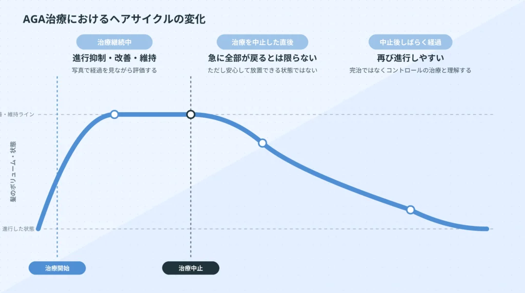 治療継続中は維持、治療中止後は再び進行しやすいことを示すヘアサイクルの流れ図