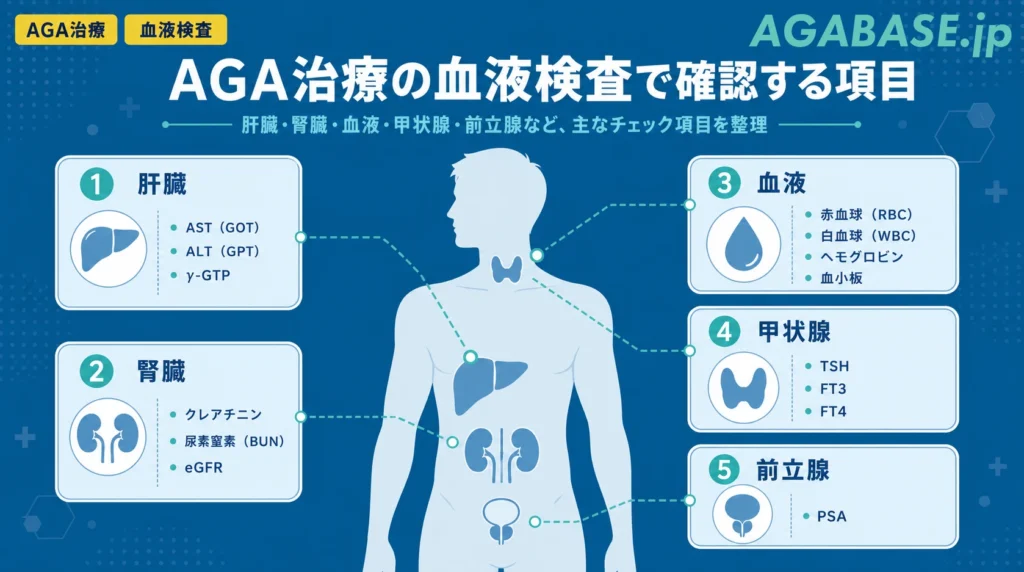 AGA治療の血液検査で確認する肝臓、腎臓、血液、甲状腺、前立腺のアイコンと、対応する検査項目を整理した図